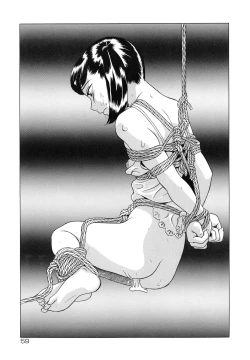 Page 60 of Shoukoujo 3