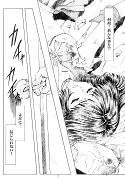 Page 11 of Amihota Side:C