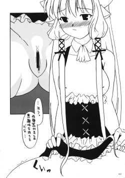 Page 41 of Kenko Daiichi