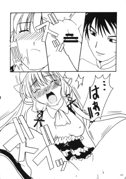 Page 43 of Kenko Daiichi