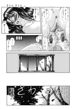 Page 26 of Sakura Sakura