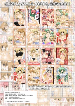 Page 15 of E-BODY NANOHA/FATE