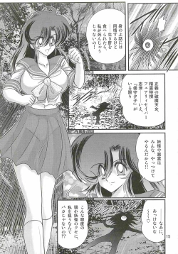 Page 19 of Seirei Tokusou Fairy Saber W - Shiryoukan no Wana