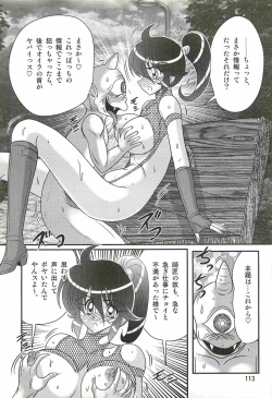 Page 117 of Seirei Tokusou Fairy Saber W - Ookami to Momojiri Musume