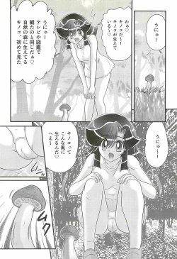 Page 48 of Seirei Tokusou Fairy Saber W - Shojo Kari
