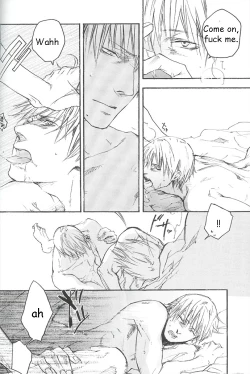 Page 48 of (C69) [GD Mechano (Izumi Yakumo)] ~La Vita E Rosa~ (Devil May Cry 3) [English]