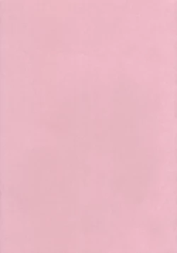 Page 43 of Marisabure