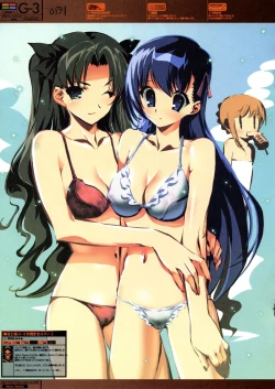 Page 17 of G3 Phase-1