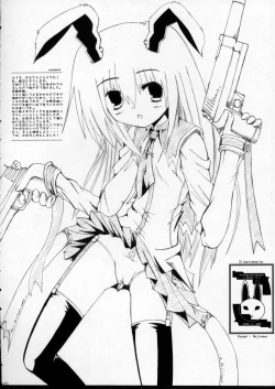 Page 19 of Touhou Gensoukyou