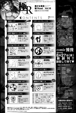 Page 262 of Bishoujo Kakumei KIWAME Road Vol. 14