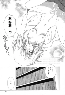 Page 88 of Pure Petit Vol. 18