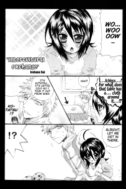 Page 21 of Rukia Kuchiki Minimum Maniax File