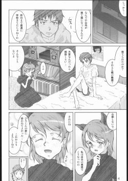 Page 3 of MIMIMIX