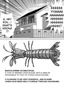 Page 17 of Chitsu Hakai-kei Joshi