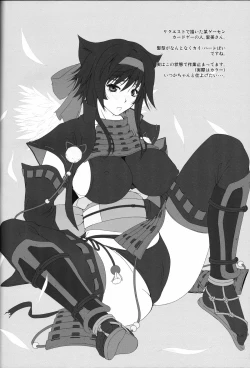 Page 13 of NabuNin ver2.0