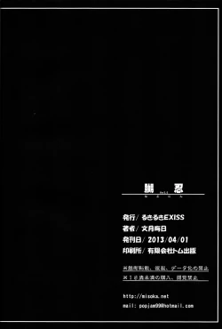 Page 17 of NabuNin ver2.0