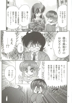 Page 11 of Seirei Tokusou Fairy Saber W - Seibo Ingyaku