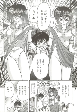Page 17 of Seirei Tokusou Fairy Saber W - Seibo Ingyaku