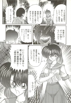 Page 20 of Seirei Tokusou Fairy Saber W - Seibo Ingyaku