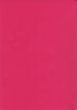 Page 2 of Shonen Knife