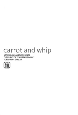 Page 2 of carrot and whip