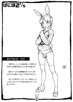 Page 2 of Banibo 2 1/5