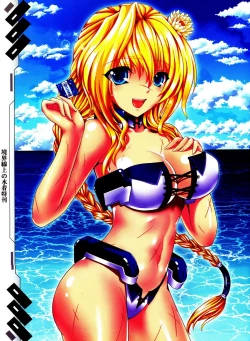 Page 11 of Kyoukai Senjou no Mizugi Tokukan