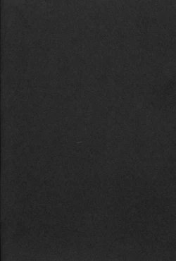 Page 27 of Muzan Musashi