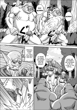 Page 5 of Boukoku no Elf Hime