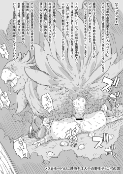 Page 17 of お姉さんの漫画