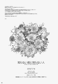 Page 29 of Shiranai Machi to Shiranai Hito