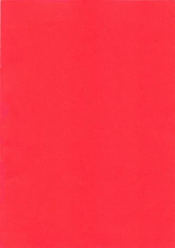 Page 4 of Nikutai Kankei