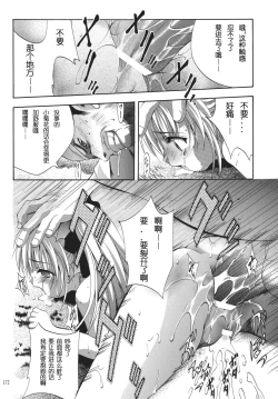 Page 171 of ALICE Joukan