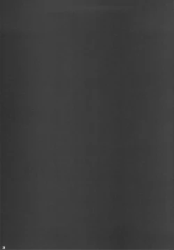 Page 29 of PILEDGE CONCEPTION