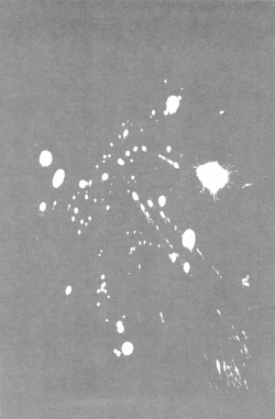 Page 14 of 性拷問