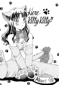 Page 254 of Feti Ningyou twin