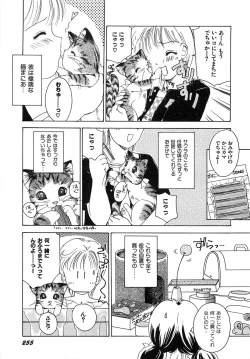 Page 258 of Feti Ningyou twin