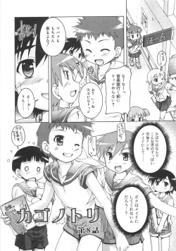 Page 142 of Kago no Tori