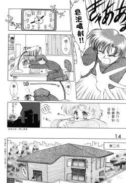 Page 14 of Submission Venus