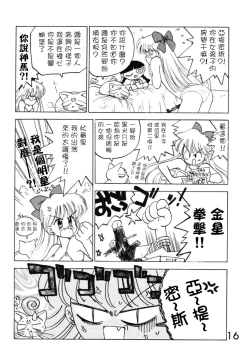 Page 16 of Submission Venus