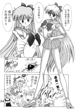 Page 24 of Submission Venus