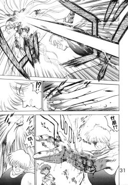 Page 31 of Submission Venus