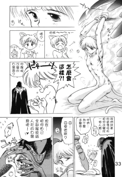 Page 33 of Submission Venus