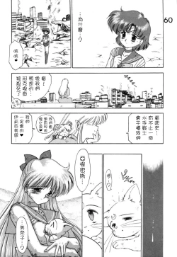 Page 60 of Submission Venus