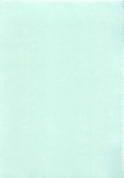 Page 168 of Otokonoko HEAVEN Vol. 02 Dokidoki Chikan Taiken