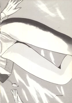 Page 4 of Fujin Keikan Menyou HonKan-Rin II