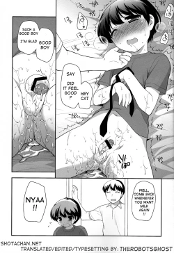 Page 17 of Noraneko | Stray Cat