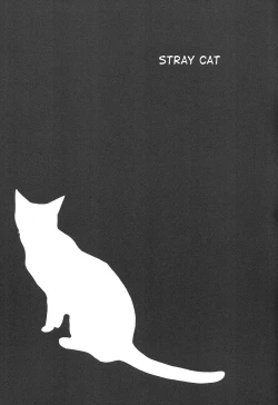 Page 4 of Noraneko | Stray Cat