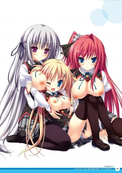 Page 24 of Zettai Series Visual Zenshuu