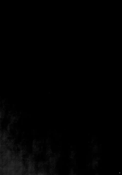 Page 14 of T-20 Fei Tas